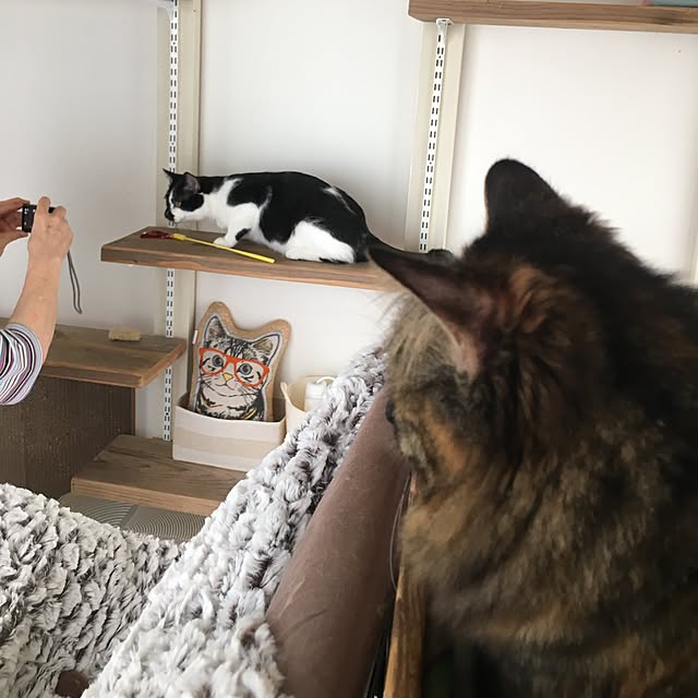 mikomaruさんの実例写真