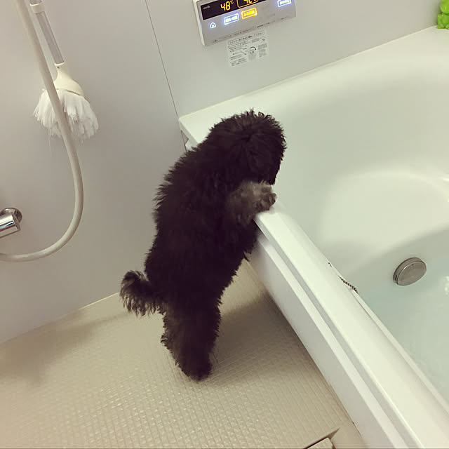 meguko.ryanさんの実例写真