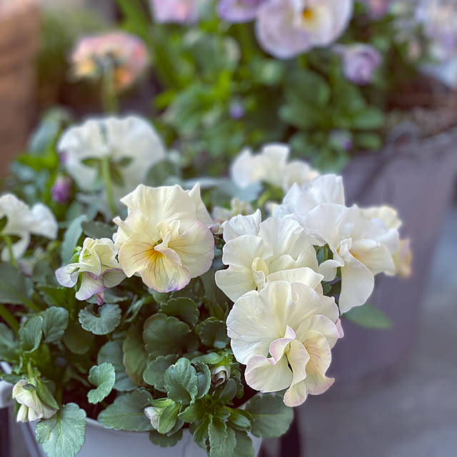 kuremaさんの実例写真