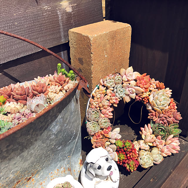 canmilmamaさんの実例写真