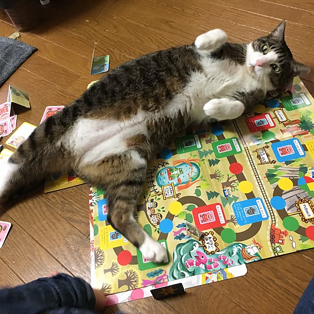 ichi.さんの実例写真