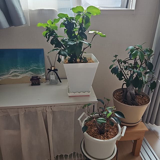 aozoraさんの実例写真