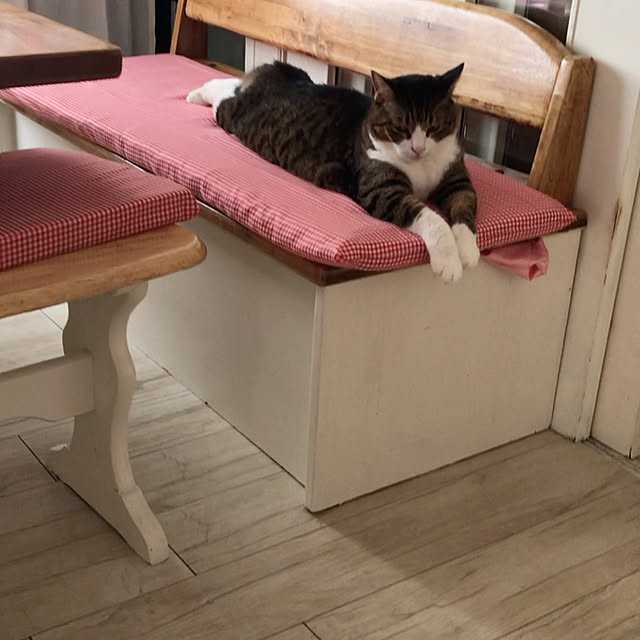 merisannさんの実例写真