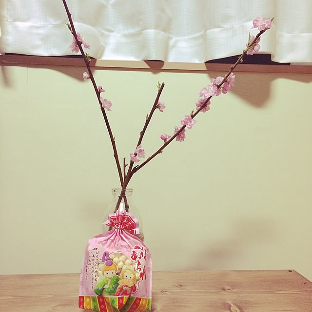 実例写真