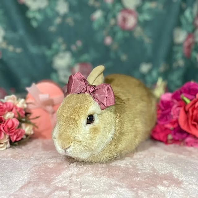 aiさんの部屋