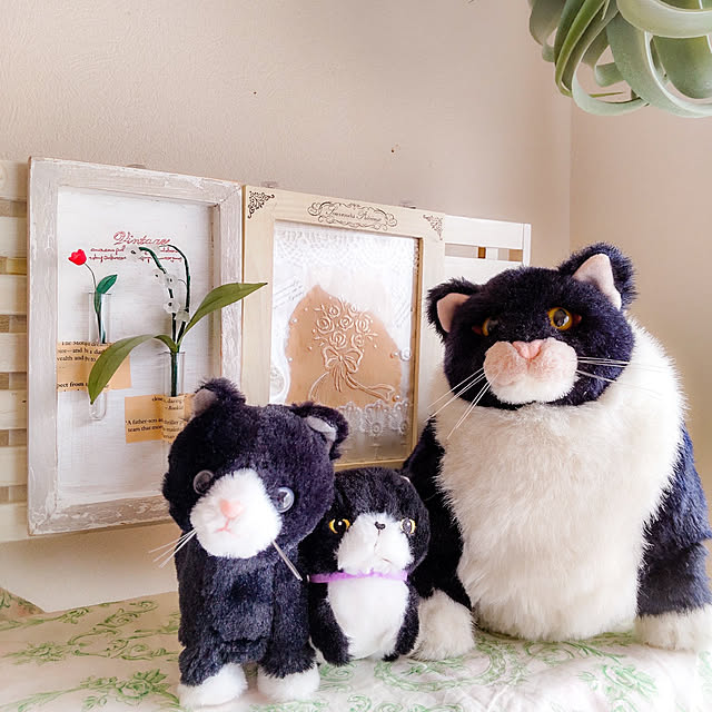 faunさんの実例写真