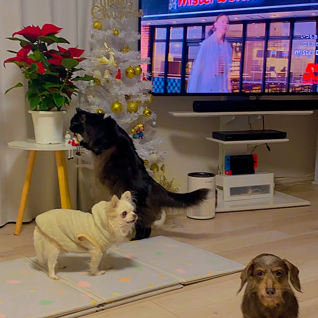 f.sさんの実例写真