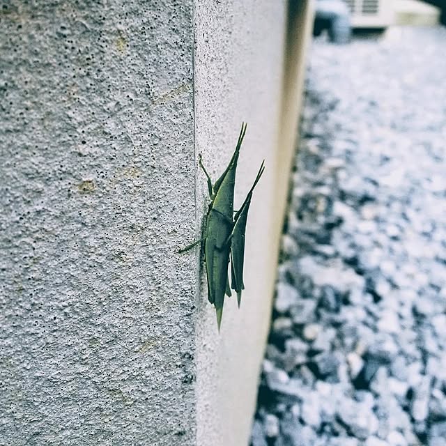 部屋全体のインテリア実例 - 2021-03-25 02:19:41