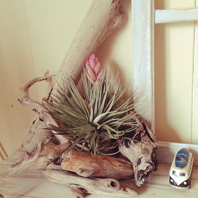 DRIFTWOOD213さんの実例写真