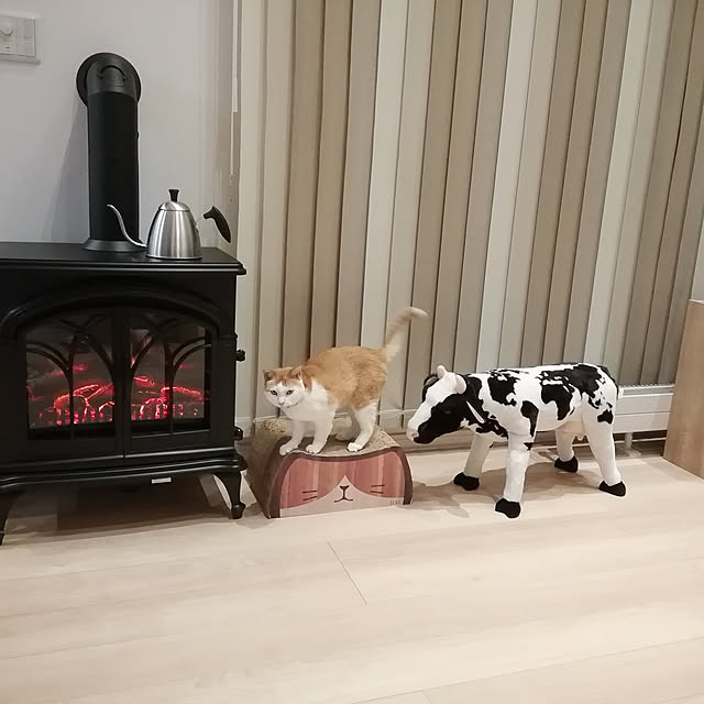 リビング/ねこと暮らすのインテリア実例 - 2022-02-25 14:53:23