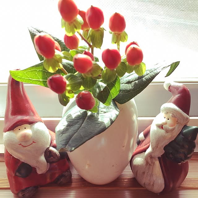 buhibuhiさんの実例写真