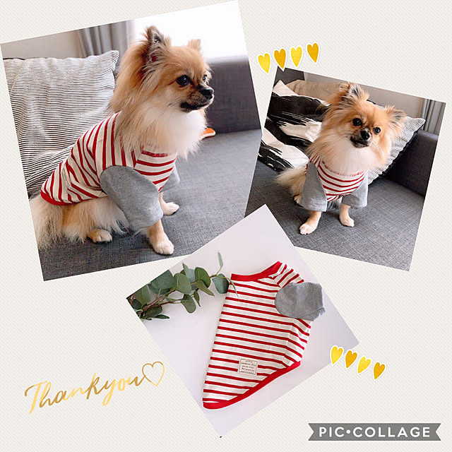 mimiさんの実例写真