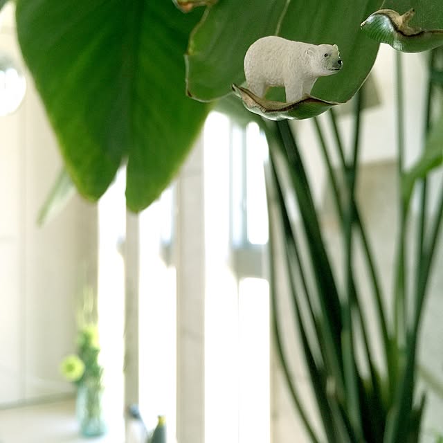 kazuya.designさんの実例写真