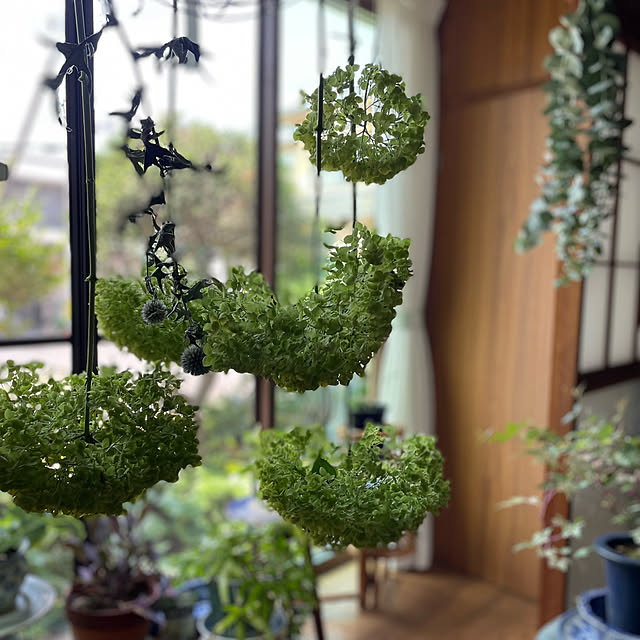 buchiさんの部屋