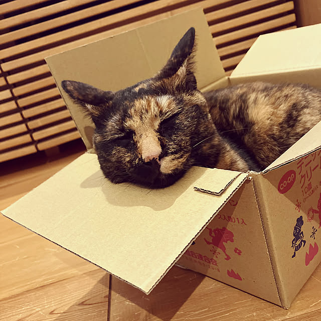 wahahaさんの実例写真