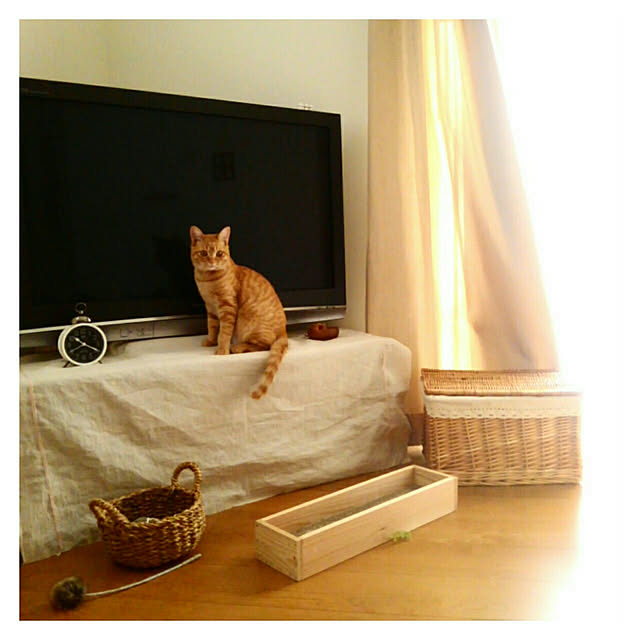 mayutan.さんの実例写真
