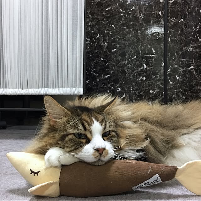 mosuraさんの実例写真