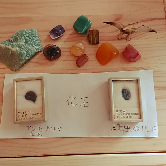 iiko5151さんの実例写真