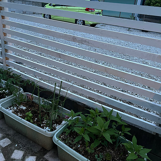 ikunyanさんの部屋