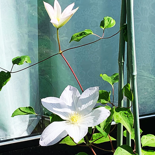 nannoさんの実例写真