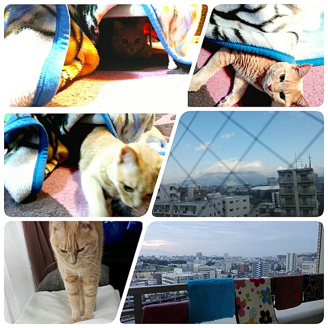 nana.maroさんの実例写真