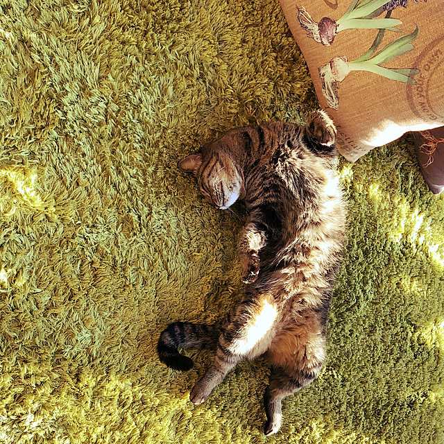 weさんの実例写真