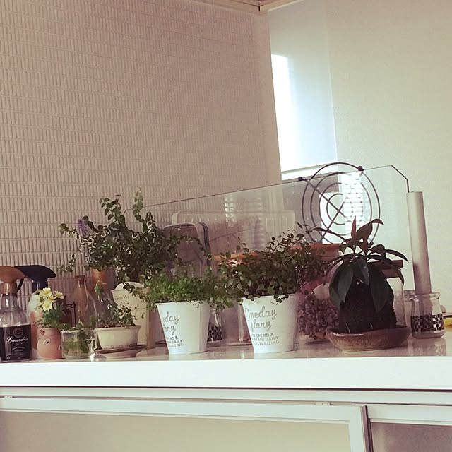 jetさんの実例写真