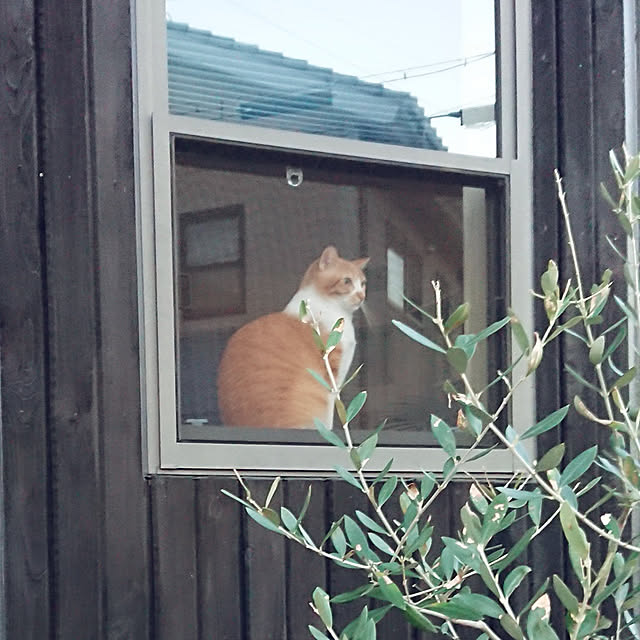 taka-kiさんの実例写真