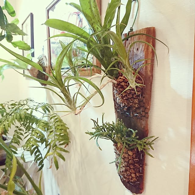 ot-gardenさんの部屋