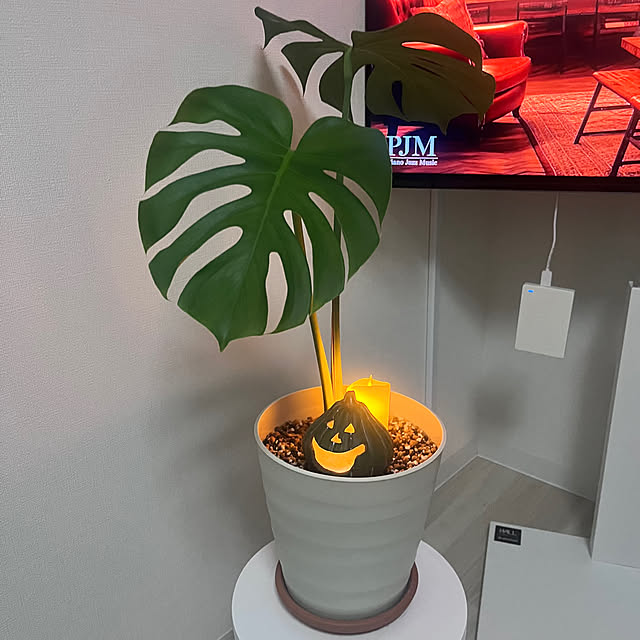 HITOさんの部屋