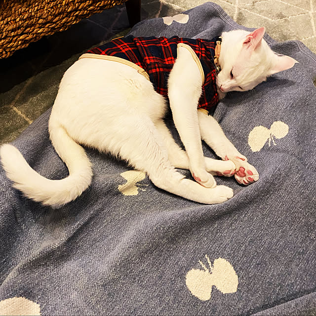 hanaさんの実例写真