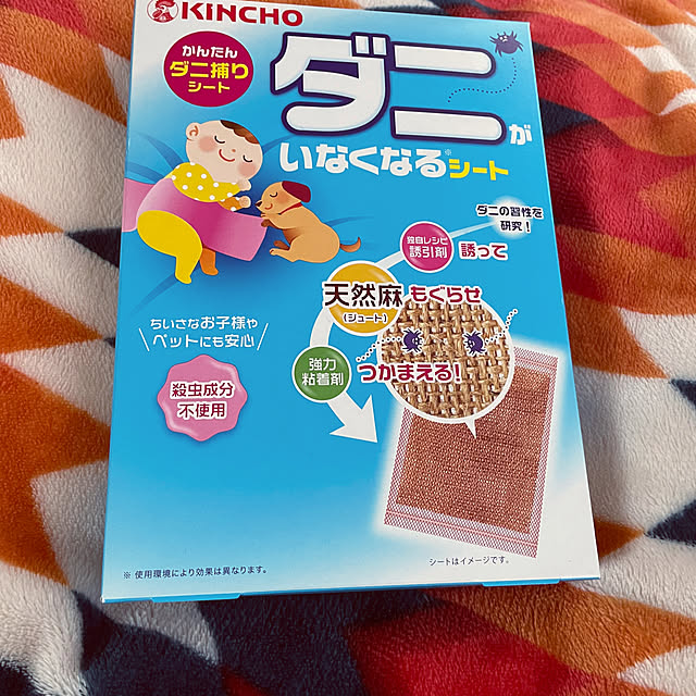 seiさんの実例写真