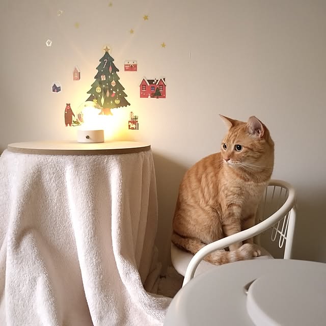 mayutan.さんの実例写真