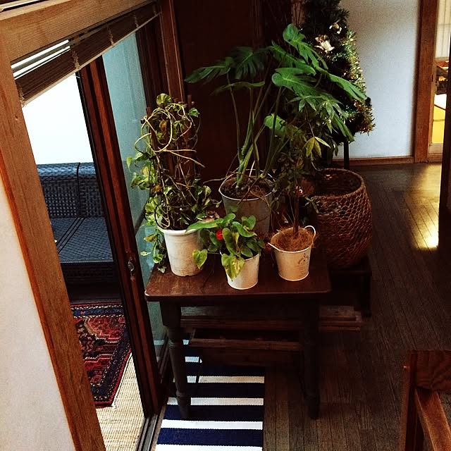 chacoさんの実例写真