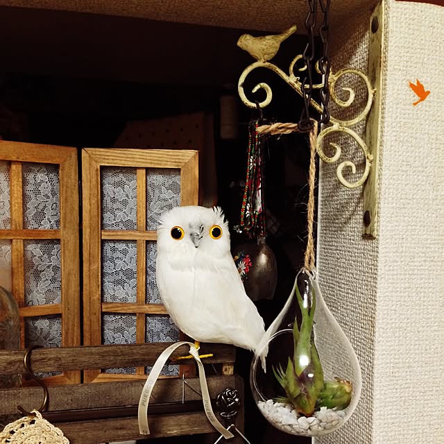 chiekawa63さんの実例写真