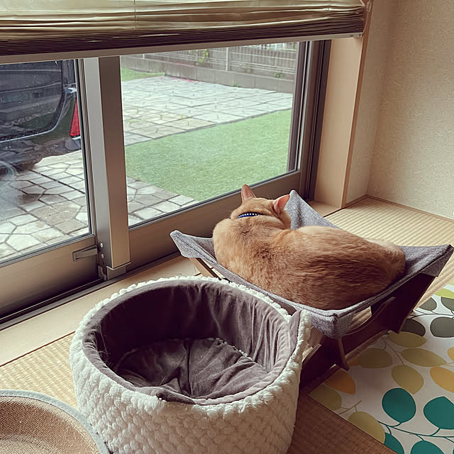 chiiさんの部屋