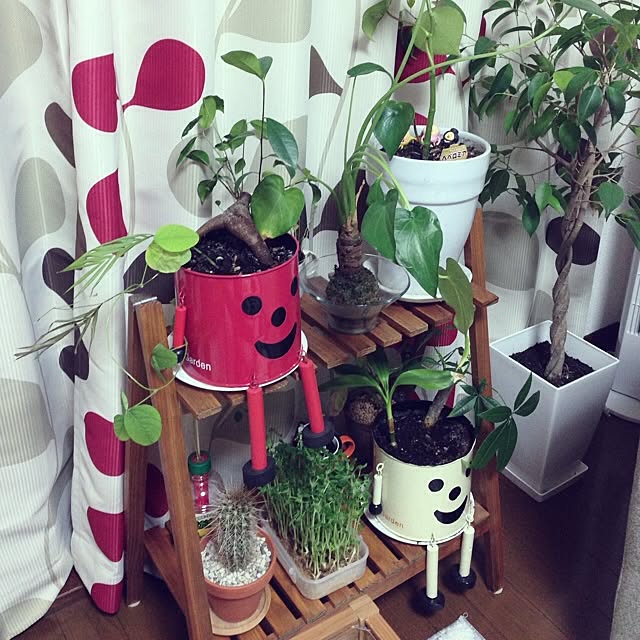kittyukiさんの実例写真