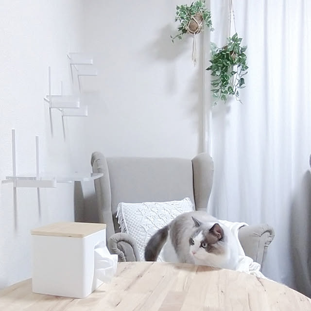 sumishouseさんの実例写真