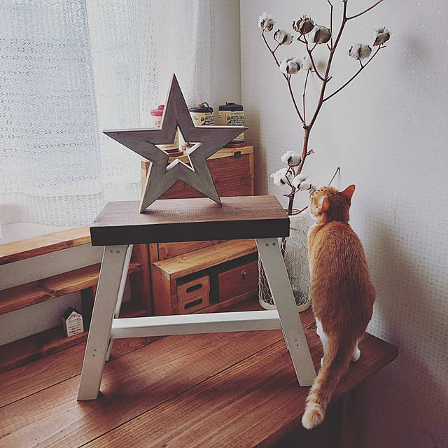 Toiroさんの実例写真