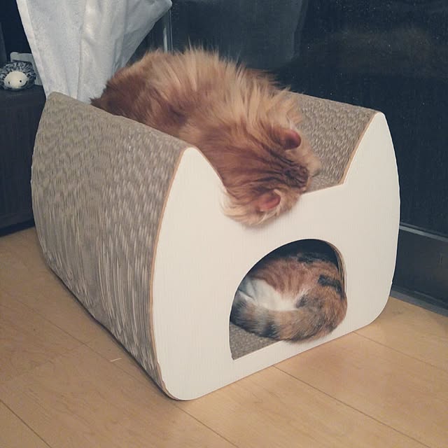 l..tomesanさんの実例写真