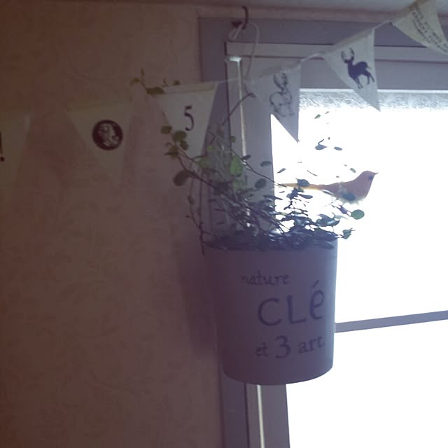 cottonさんの実例写真