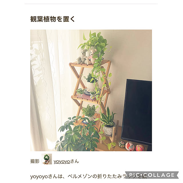 yoyoyoさんの実例写真