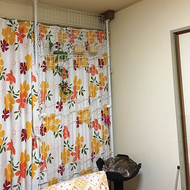 mayakaさんの実例写真