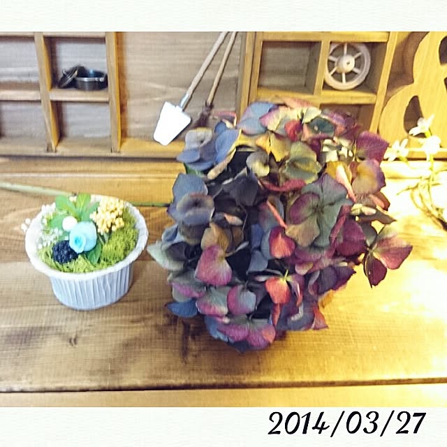 kira127さんの実例写真