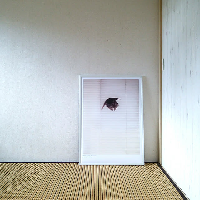 miwaさんの実例写真