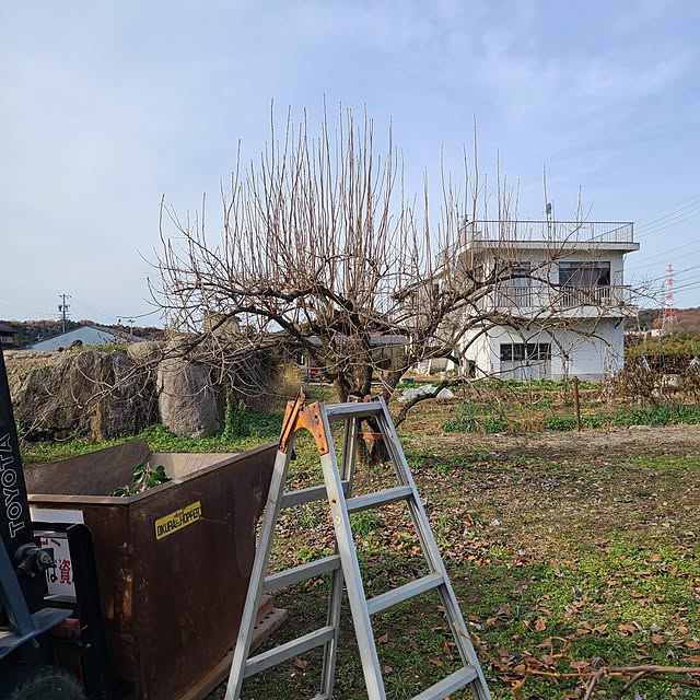 Rubiconさんの部屋