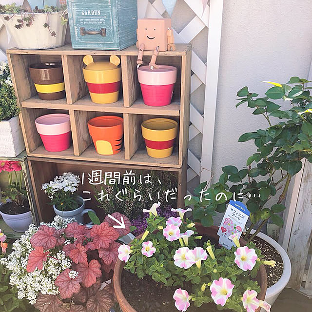 r_6cafeさんの実例写真