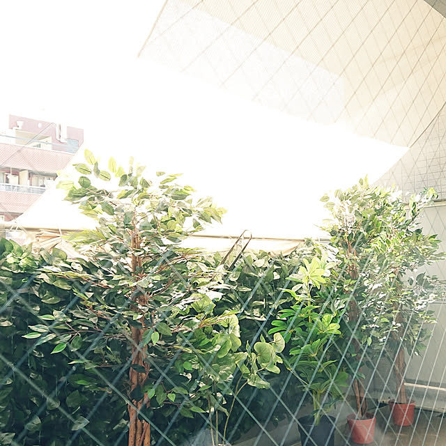 sumishouseさんの実例写真