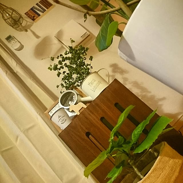ventaさんの実例写真