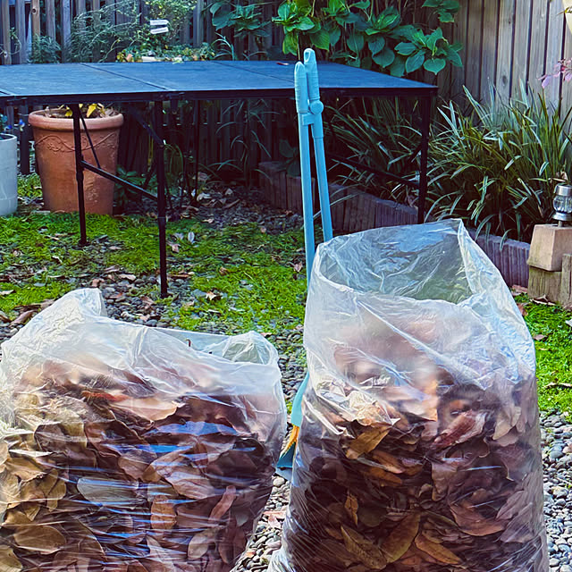 chacoさんの実例写真